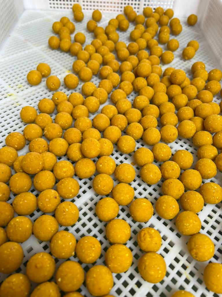 Zoete caramel boilies, Tuin en Terras, Bloembollen en Zaden, Volle zon, Ophalen of Verzenden