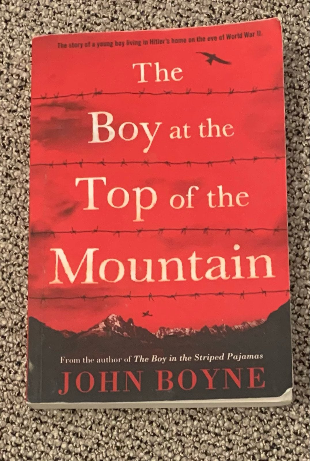 The Boy at the Top of the Mountain - John Boyne, Ophalen of Verzenden, Gelezen