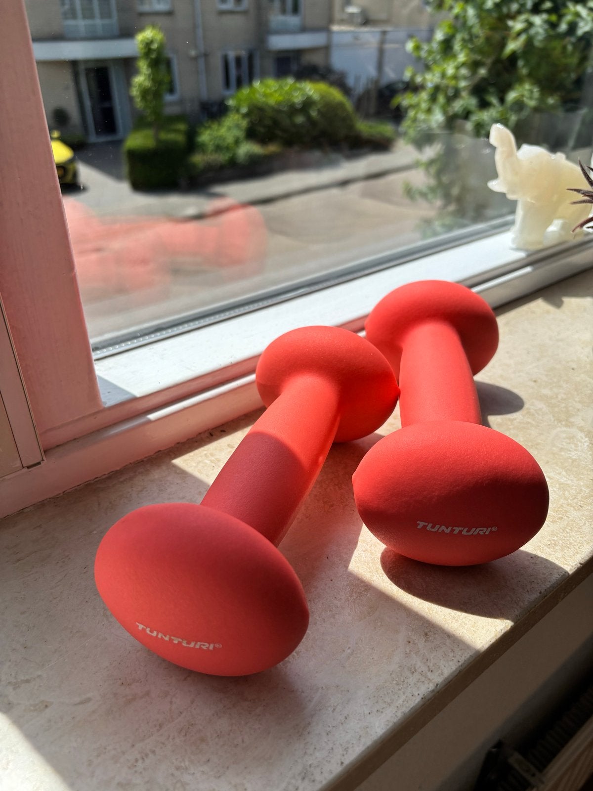 Tunturi Neopreen Dumbbells 2KG - nieuw, Ophalen, Nieuw, Benen, Dumbbell