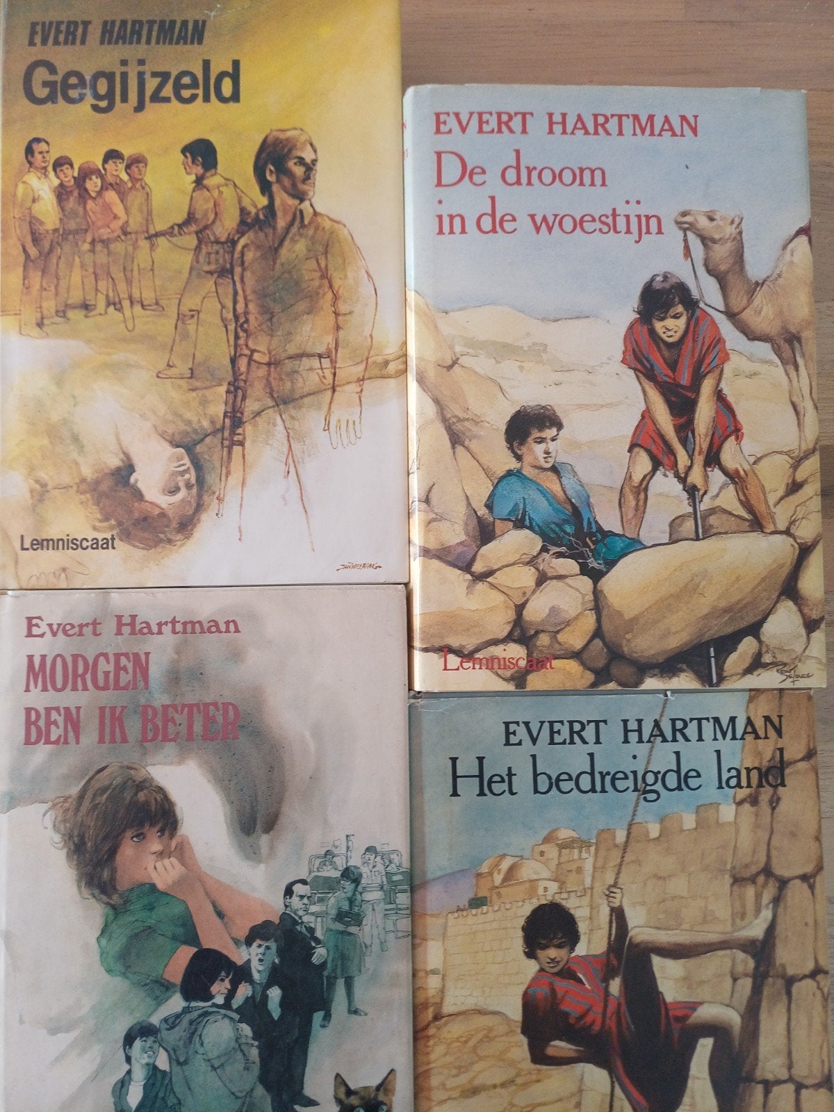 12+ E.Hartman. 4 prima boeken.  p.st. 4.50, Ophalen of Verzenden, Gelezen, Evert Hartman, Fictie