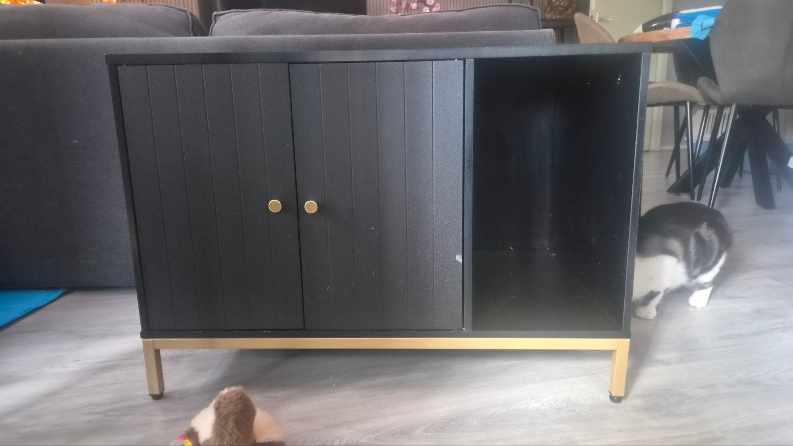 Kattenbak kast! Zeer leuk!, Huis en Inrichting, Kasten | Dressoirs, Gebruikt, 50 tot 100 cm, 25 tot 50 cm, Met deur(en), Overige houtsoorten