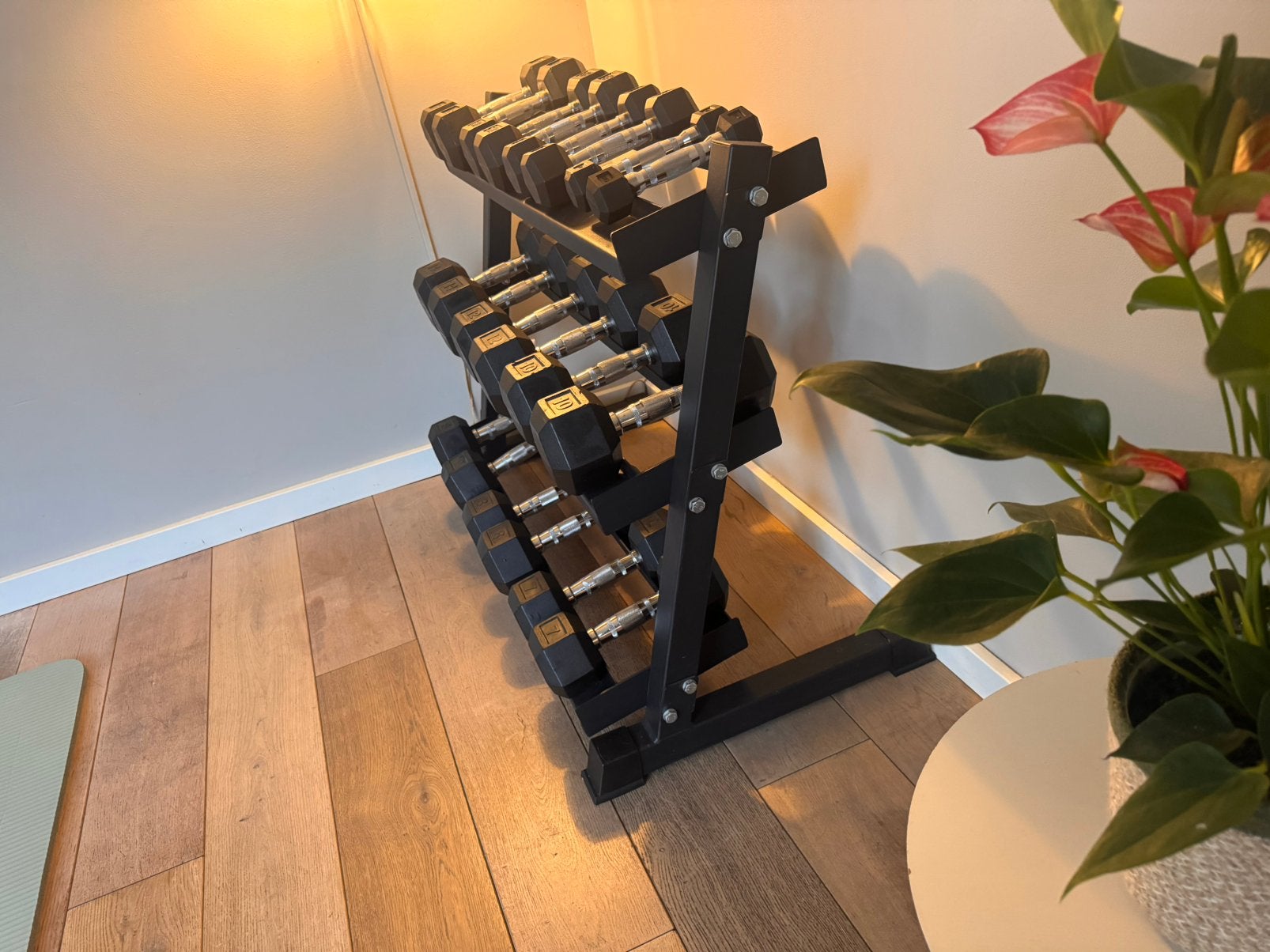 3-laags halter dumbell rek max. 300 kilo, Ophalen, Zo goed als nieuw, Metaal