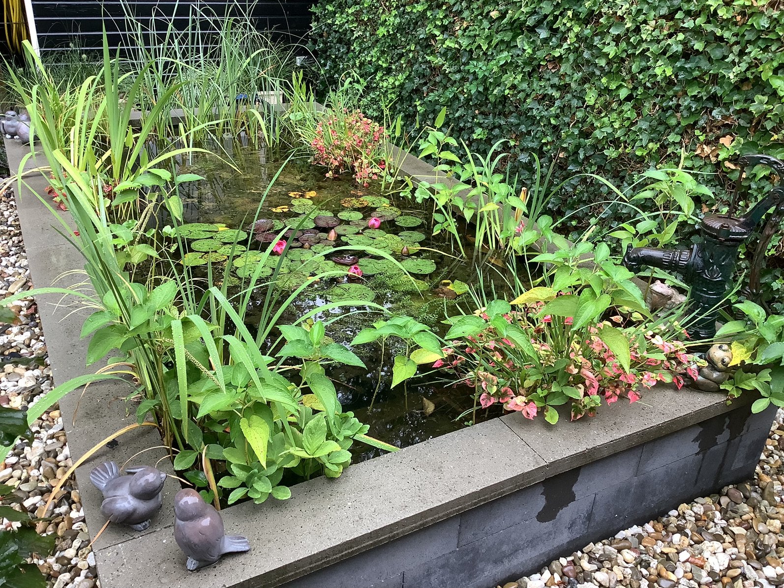Vijver met veel planten en oase hoge drukfilter, Tuin en Terras, Ophalen, Zo goed als nieuw