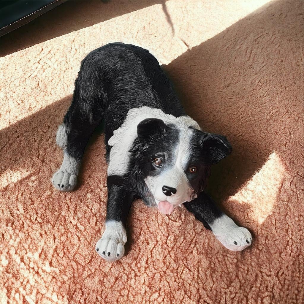 Border Collie beeld 60 cm. Bulldog beeldjes kopen. Huisdier, Ophalen, Nieuw, Dier