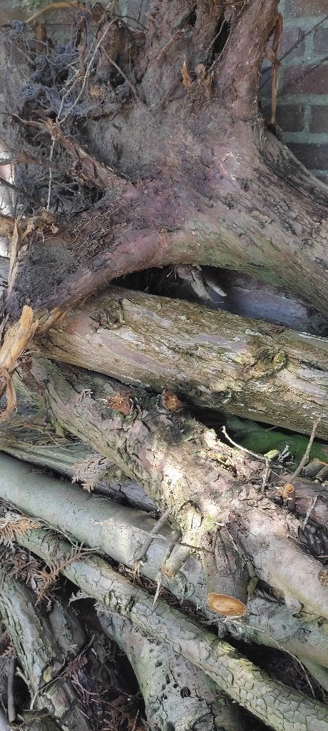 Hout GRATIS op te halen, Minder dan 3 m³, Ophalen, Overige houtsoorten