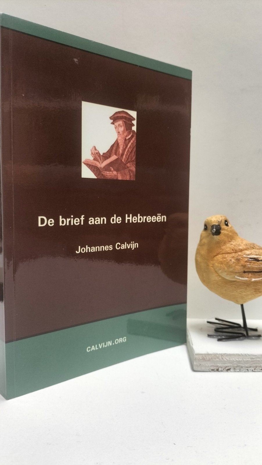Calvijn, Johannes; De brief aan de Hebreeën (paperback, Boeken, Ophalen of Verzenden, Gelezen, Christendom | Protestants
