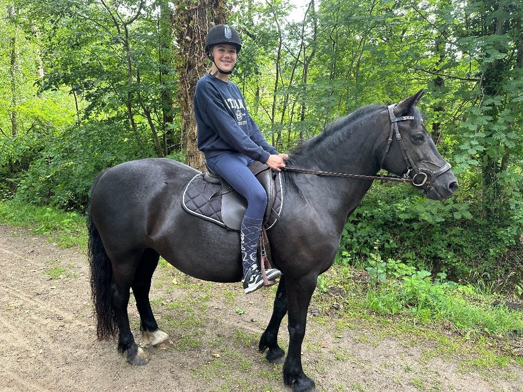 Gezocht verzorg / lease pony of paard, Ophalen