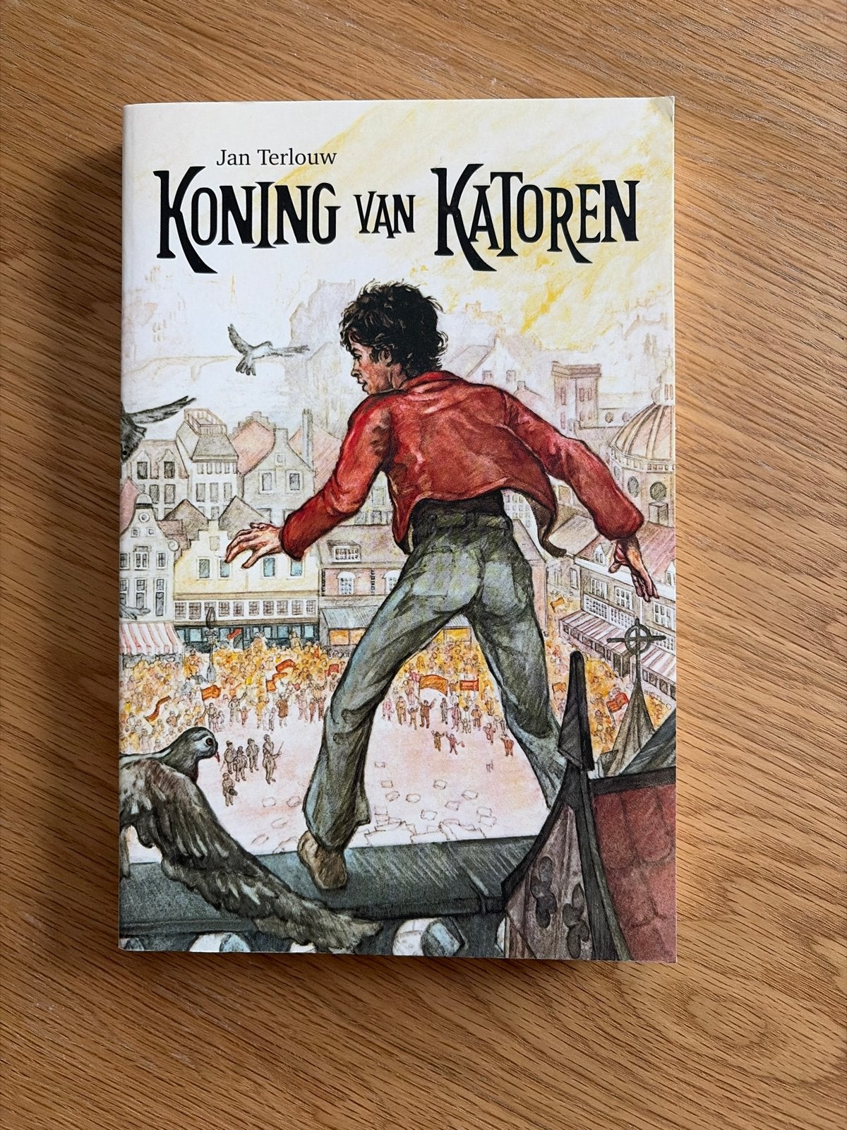 Jan Terlouw - Koning van Katoren (Jeugdboek), Ophalen of Verzenden, Zo goed als nieuw, Fictie algemeen