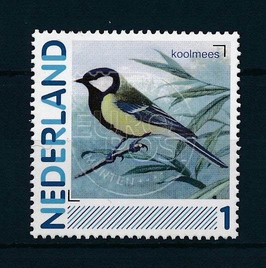 GEZOCHT: postzegels van vogels, Ophalen of Verzenden, Dier of Natuur