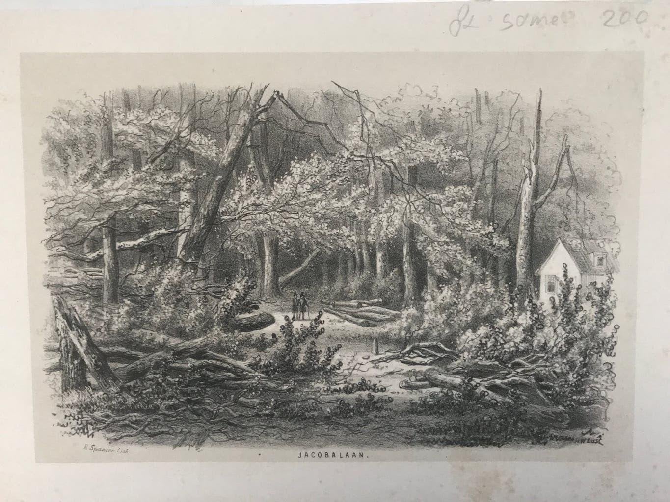 Jacobalaan Den Haag, antieke gravure E. Spanier, 19x13cm., Antiek en Kunst, 1800 - 1899, Stadsgezicht, 19 cm, Ophalen of Verzenden