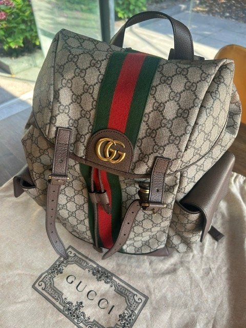 Gucci backpack Unisex, Ophalen of Verzenden, Nieuw, 40 cm of meer, Overige merken