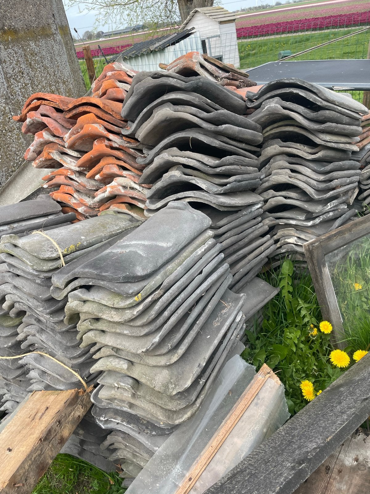 Circa 500 gebruikte dakpannen,  rood en zwart, Ophalen, Gebruikt, 15 m² of meer, Dakpannen