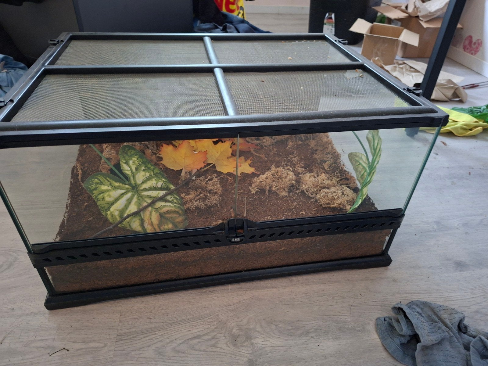 terrarium, Ophalen of Verzenden, Zo goed als nieuw, Terrarium of Paludarium