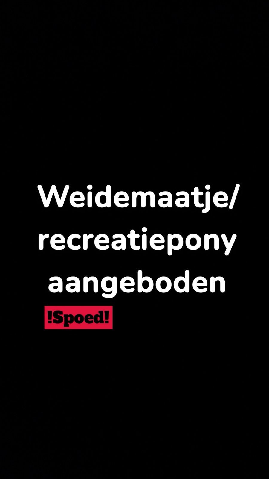 🐴Brave E-pony🐴, Weidegang, 1 paard of pony