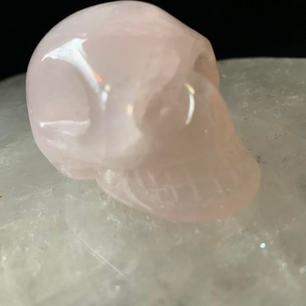 Rozenkwarts schedel skull liefde inzicht wijsheid uniek, Ophalen of Verzenden, Nieuw