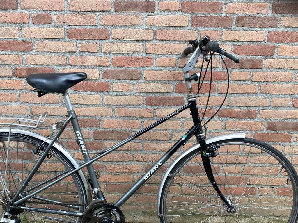 Lichtgewicht Giant Studentenfiets, Ophalen, Giant, Meer dan 20 versnellingen, 53 tot 56 cm