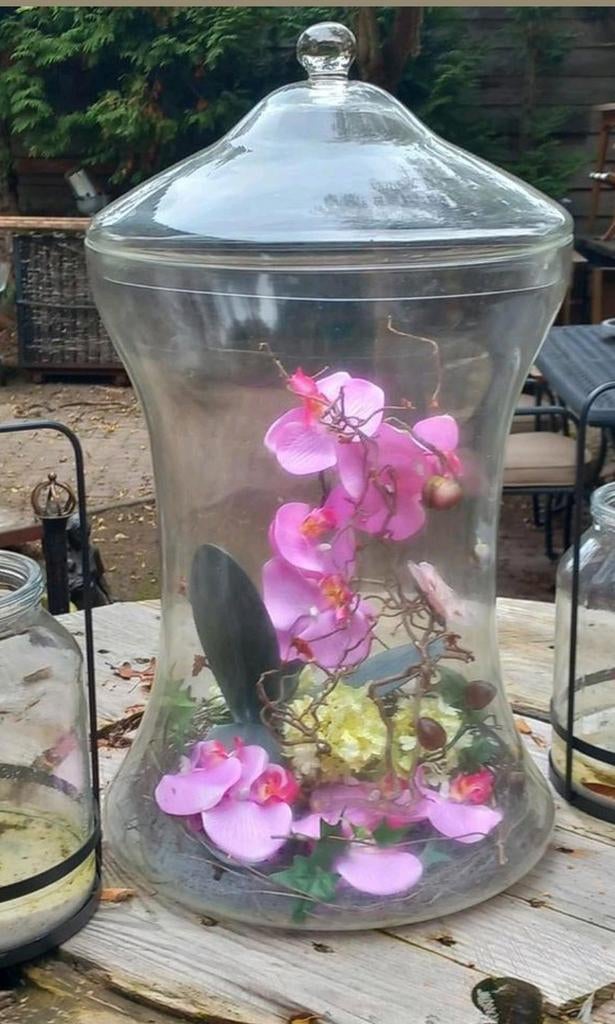 Glazen stolp met zijden orchideeën, Ophalen of Verzenden, Zo goed als nieuw