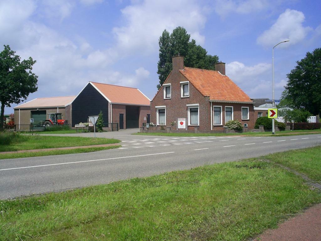 Aardappelen,Rabarber,(Voer)Wortelen en Scharrel eieren, Zakelijke goederen, Agrarisch | Aardappelen, Groenten, Fruit en Vlees