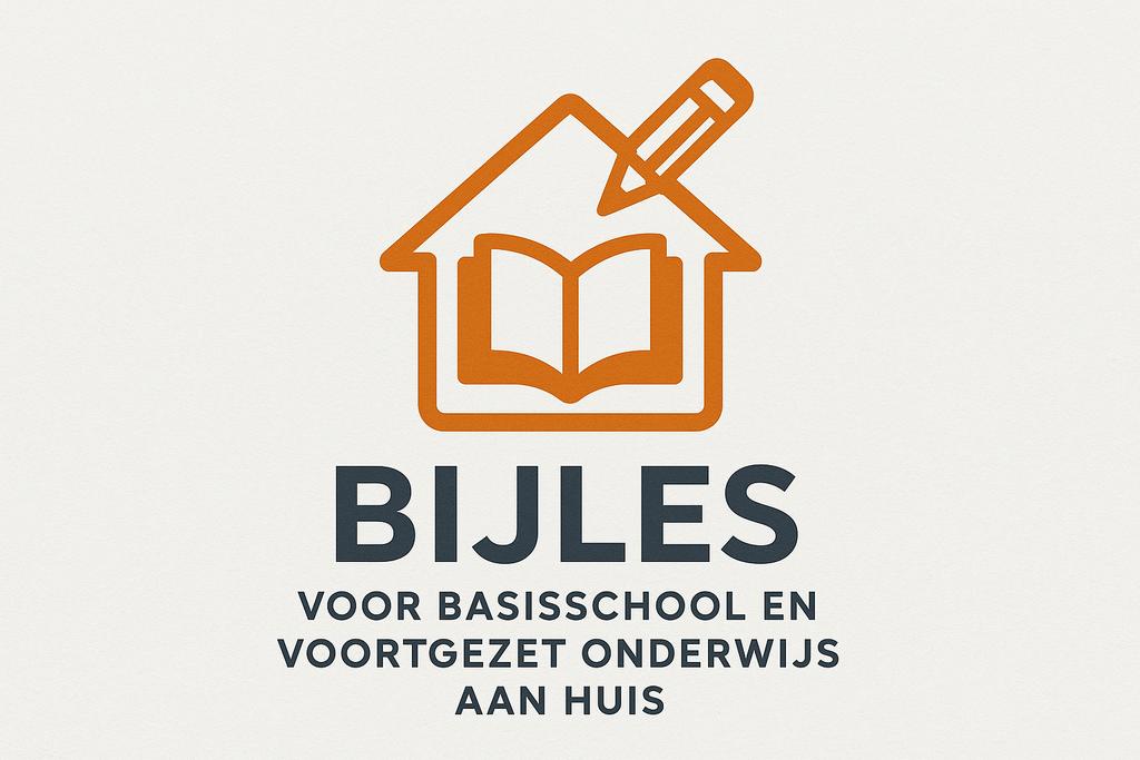 Bijles voor de basisschool en het voortgezet onderwijs, Bijles