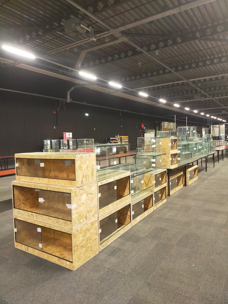 Foto 4 van osb3 terrariums ook maat werk