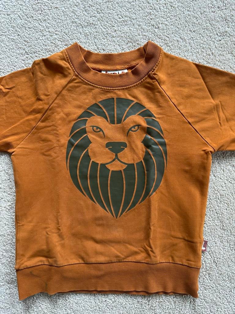 Danefae DYR trui met Leeuw - 5 jaar - koningsdag!, Ophalen of Verzenden, Gebruikt, Jongen of Meisje