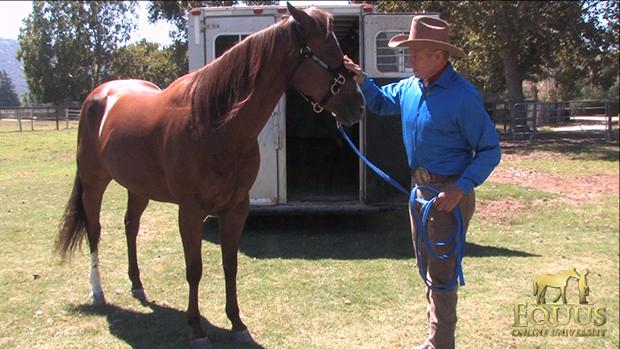 Monty Roberts Lead Line 3,6m en 5,2m, Leadrope, Ophalen of Verzenden, Nieuw, Overige soorten