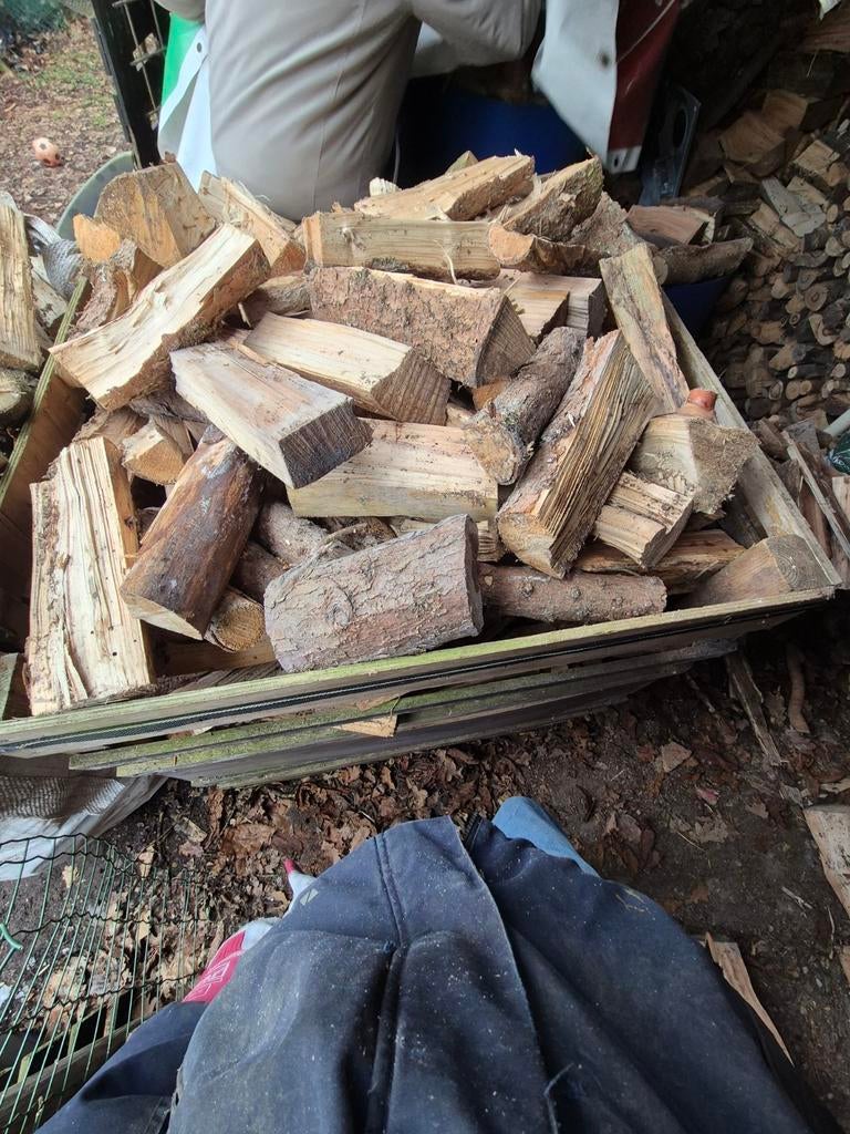 Gedroogd en gekloofd haardhout - Mix, Minder dan 3 m³, Ophalen, Overige houtsoorten, Blokken