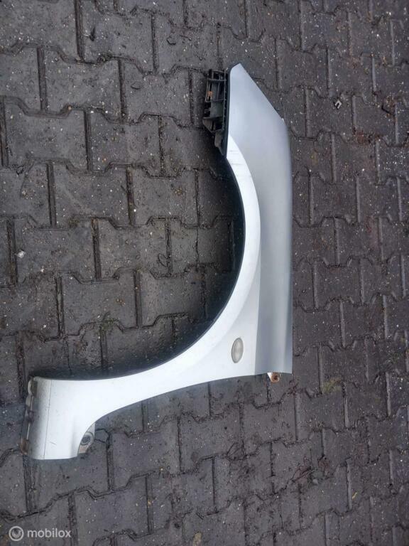 Spatscherm Peugeot 307 CC, Ophalen of Verzenden, Gebruikt