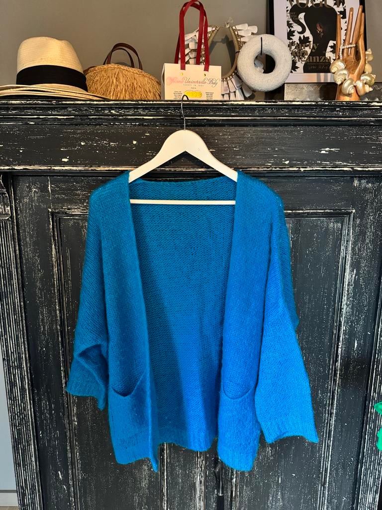 Kobalt blauw gebreid vest - One Size, Kleding | Dames, Truien en Vesten, Ophalen of Verzenden, Zo goed als nieuw, Maat 38/40 (M)