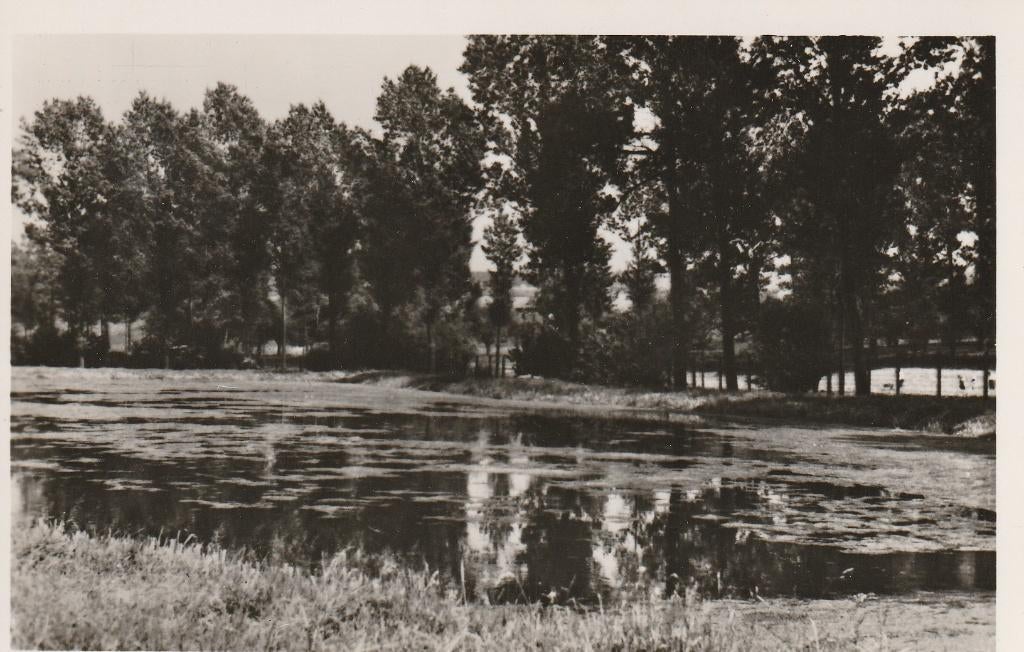 06313 Gulpen - Forellenkwekerij - 1948, Verzenden, 1940 tot 1960, Ongelopen, Limburg