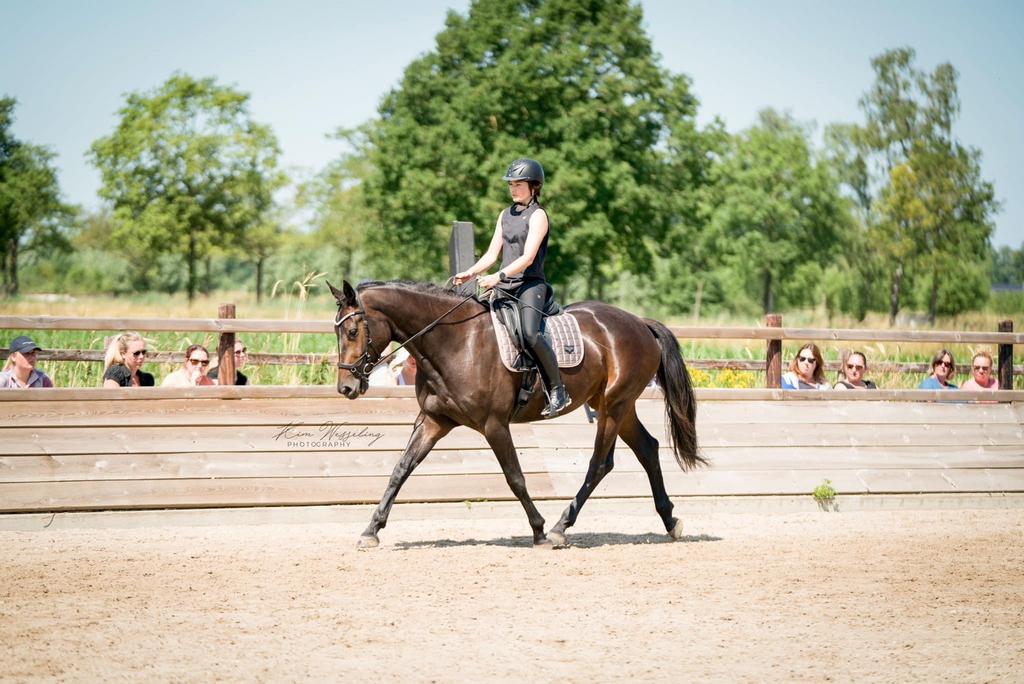 Dressuur instructie, grondwerk, zadelmak maken Tiel-Utrecht, Paardrijles of Ponykampen