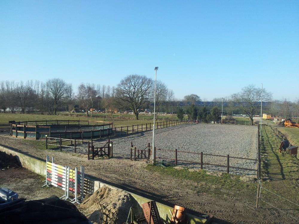 Paardenpension de Ypenhoeve, Verzorging of Verzorgpony's