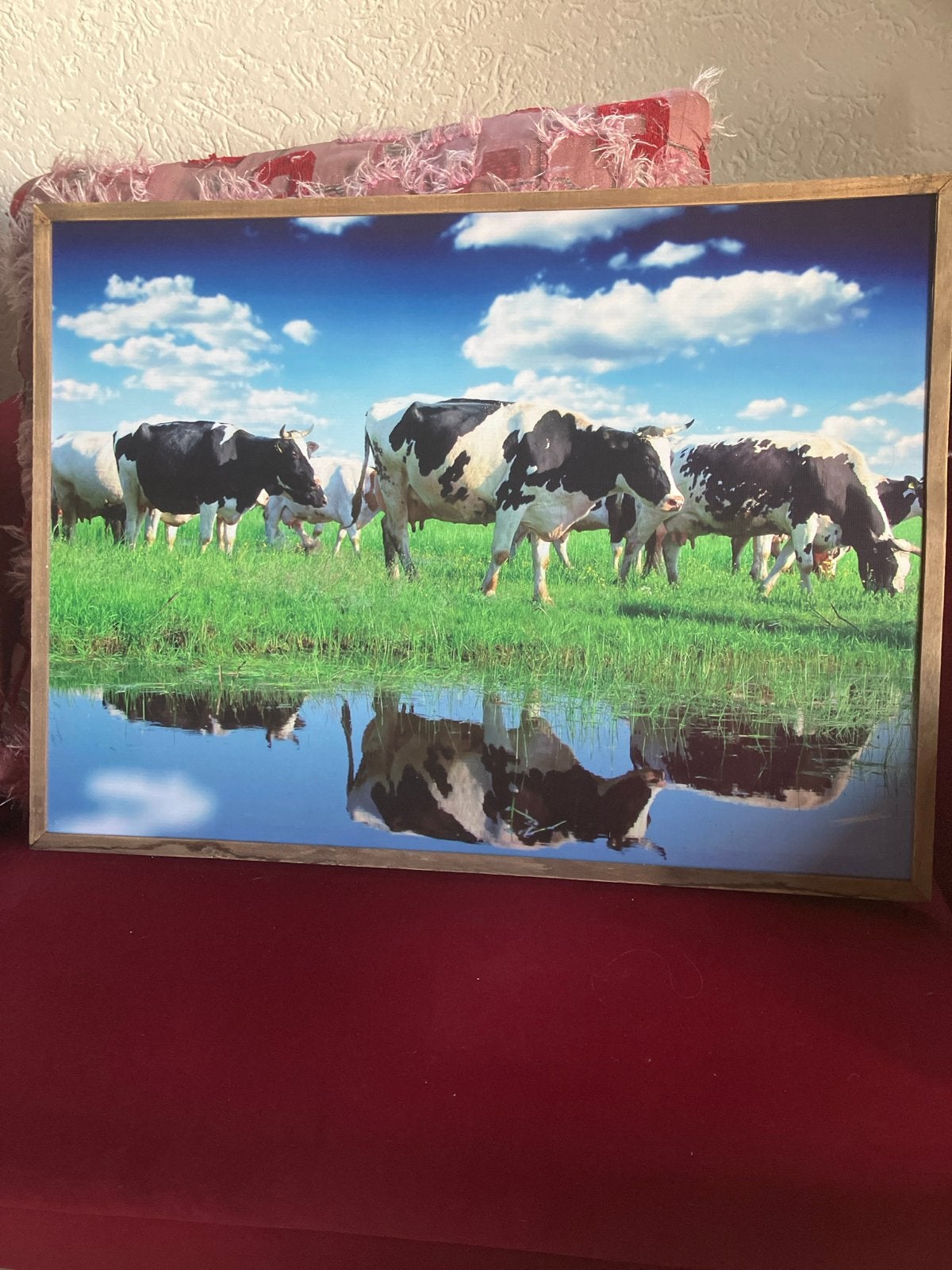 Doek/Schilderij met koeien in de wei 78x58 cm, Ophalen, Rond, Zo goed als nieuw, 60 cm of meer