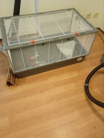 Knaagdier kooi voor cavia of dombo ratjes, Dieren en Toebehoren, Ophalen, Gebruikt