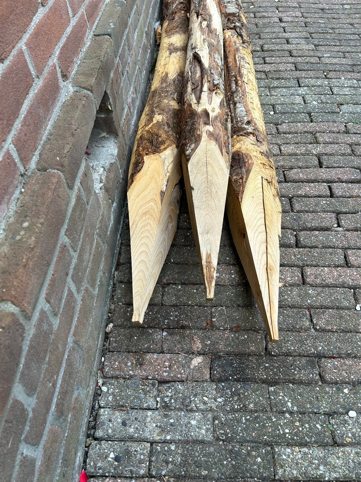 3 Kastanje houten palen, Tuin en Terras, Palen, Balken en Planken, Ophalen, Nieuw, Minder dan 180 cm, Palen