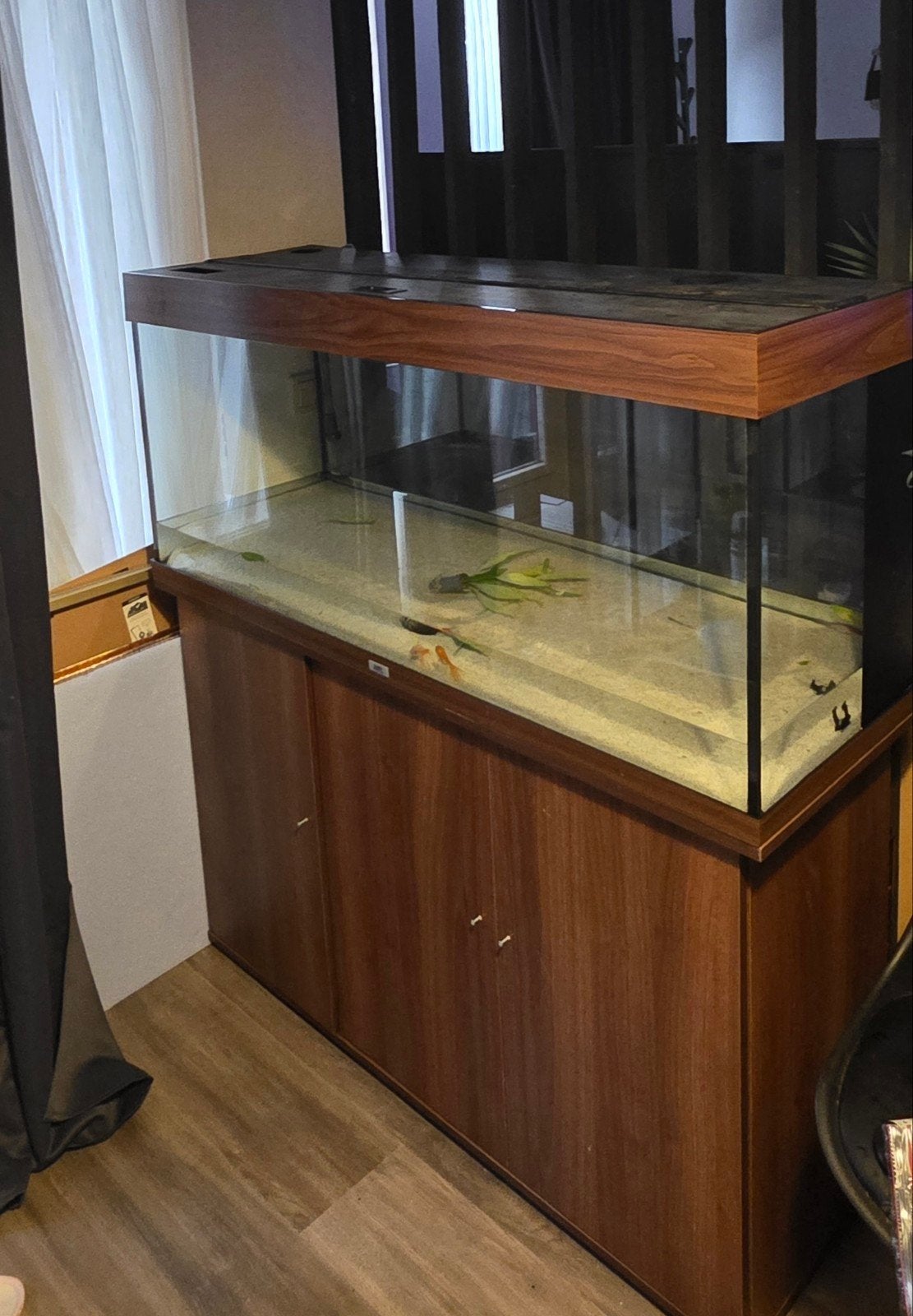 [Lek Aquarium / Terrarium ] Juwel Rio 240, Dieren en Toebehoren, Ophalen, Leeg aquarium