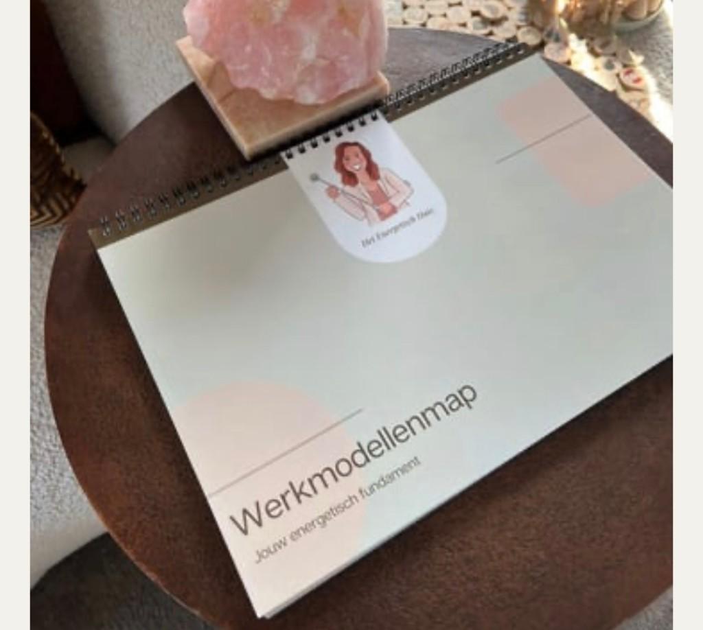 Gezocht nieuw werkmodellenboek Nei level 2, Verzenden, Gamma, Nieuw
