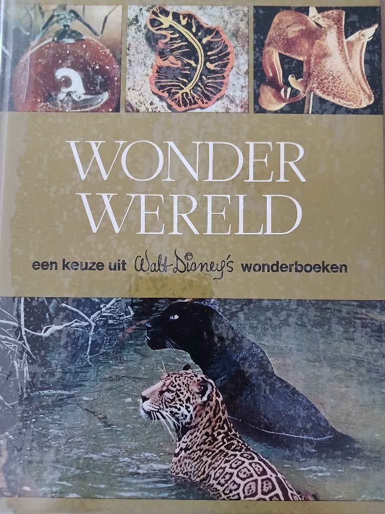 Wonderwereld - Walt Disney's wonderboek, Ophalen of Verzenden, Zo goed als nieuw, Natuur algemeen, Frans Grosfeld