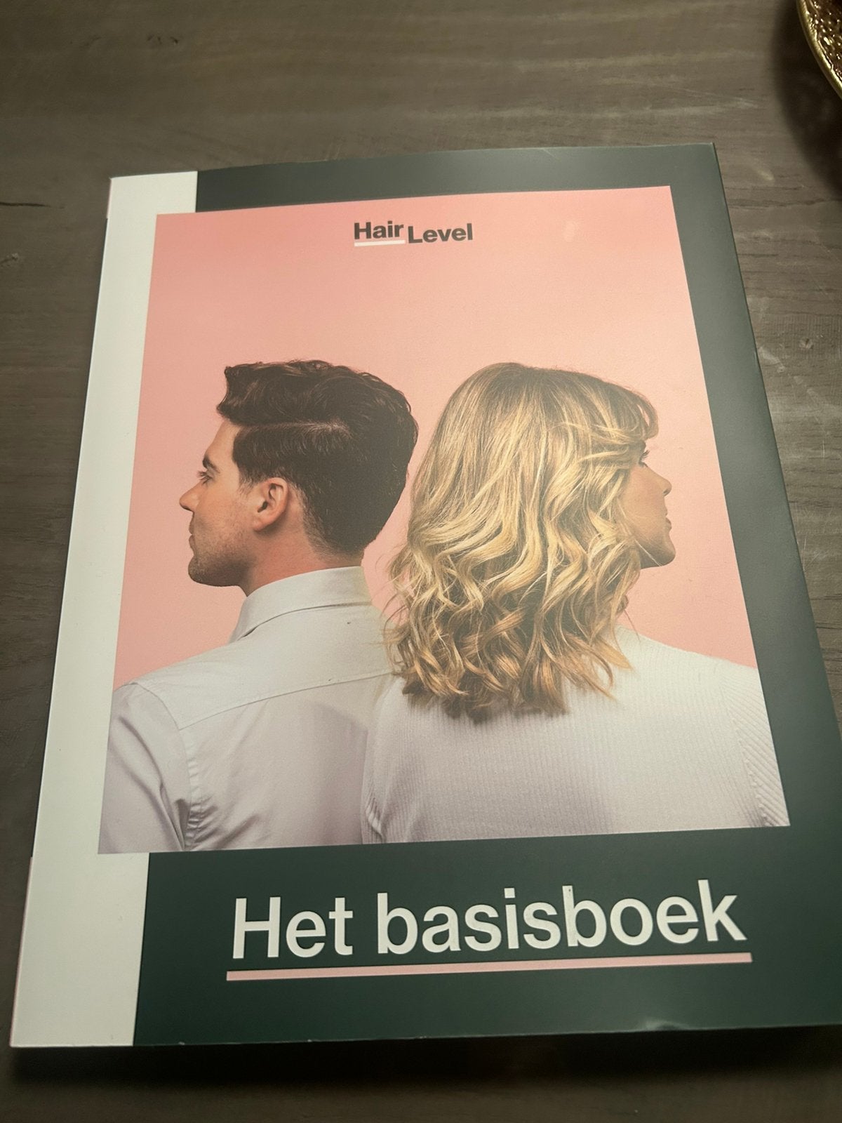 Hairlevel basisboek, Ophalen of Verzenden, Zo goed als nieuw, Overige niveaus