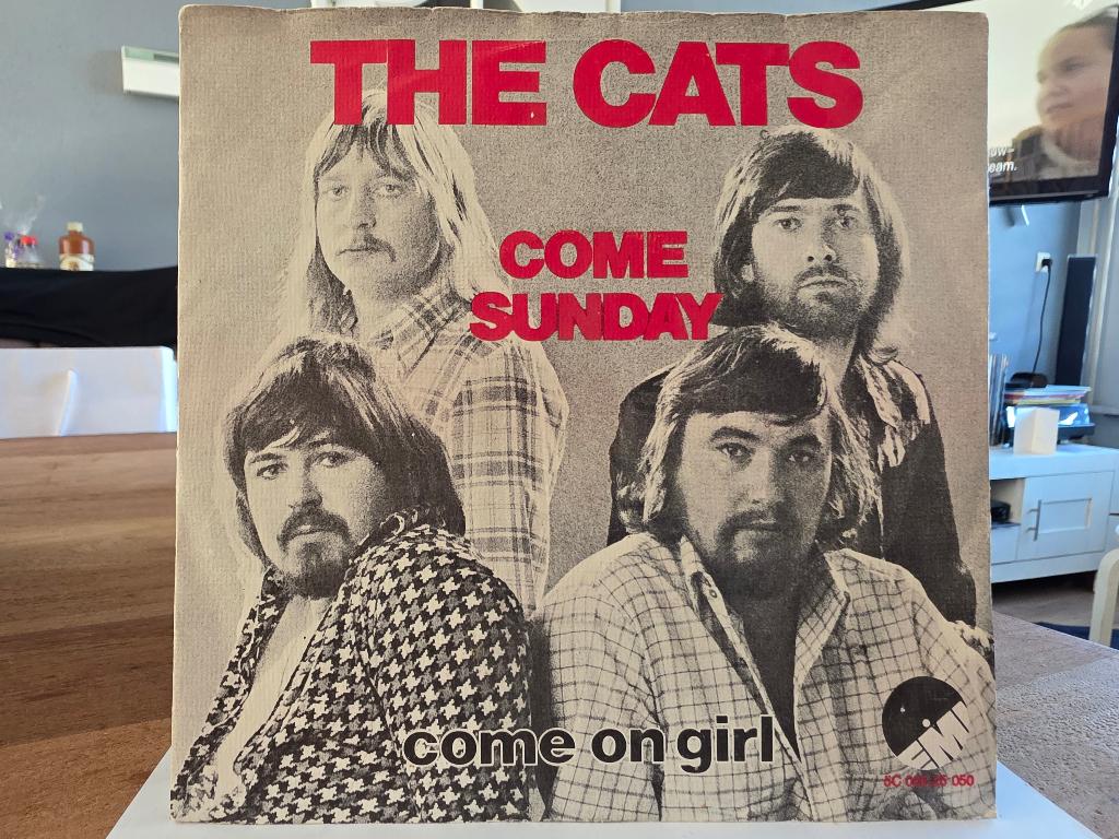 7" Single The Cats - Come Sunday, Cd's en Dvd's, Vinyl Singles, Gebruikt, 7 inch, Single, Ophalen of Verzenden