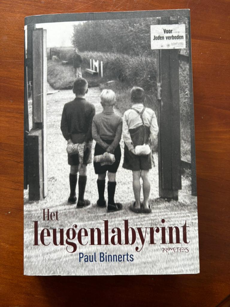 Paul Binnerts - Het leugenlabyrint, Boeken, Literatuur, Zo goed als nieuw, Ophalen of Verzenden
