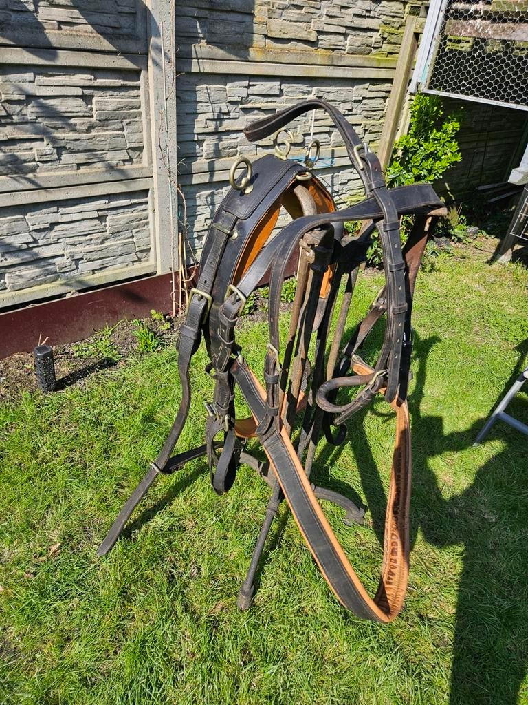 Te koop paarden tuig broek en schoft., Dieren en Toebehoren, Paarden en Pony's | Hoofdstellen en Tuigage, Ophalen, Overige soorten