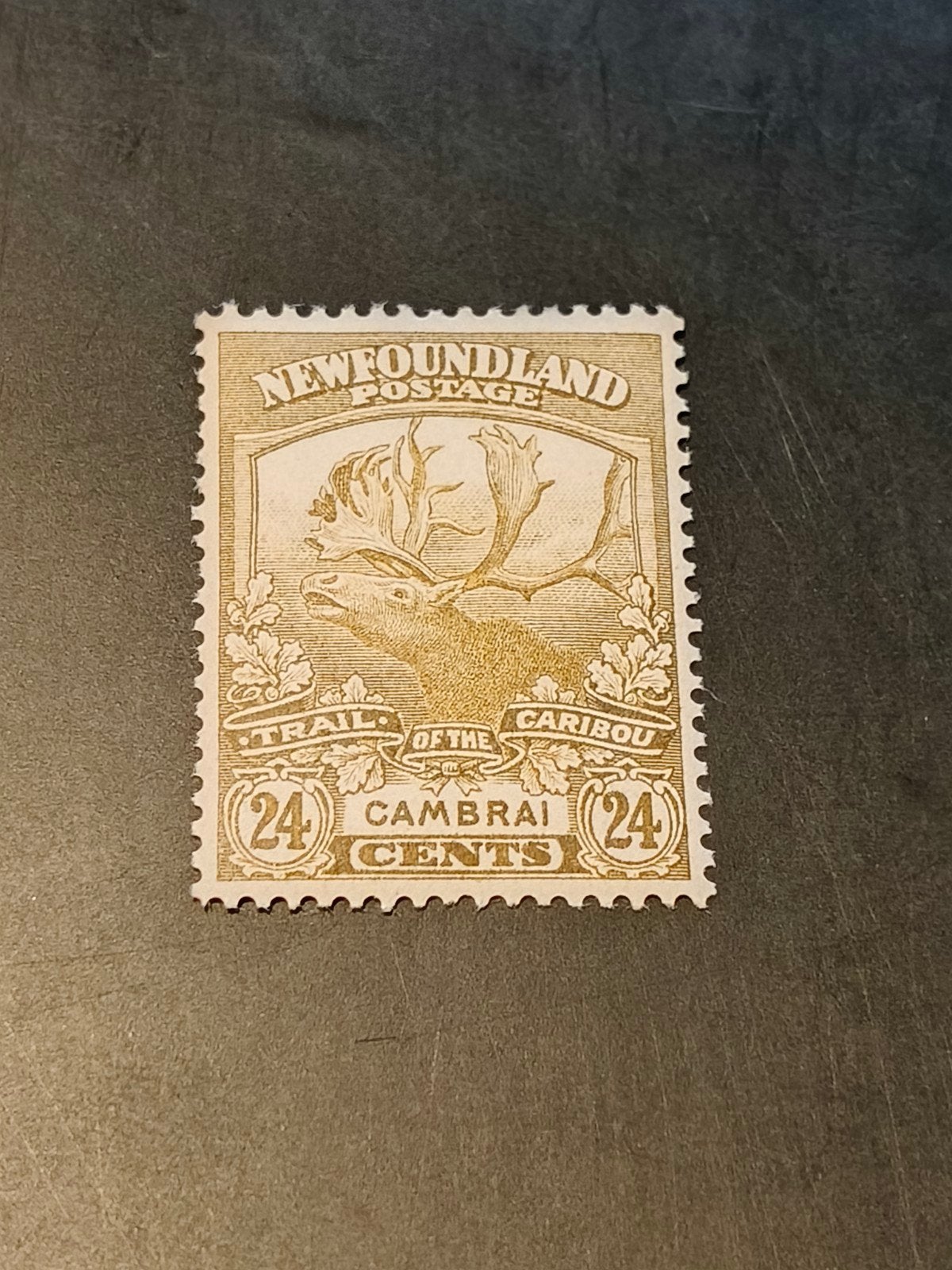 Newfoundland 24 cents 1919, Sg 140, Ophalen of Verzenden, Noord-Amerika