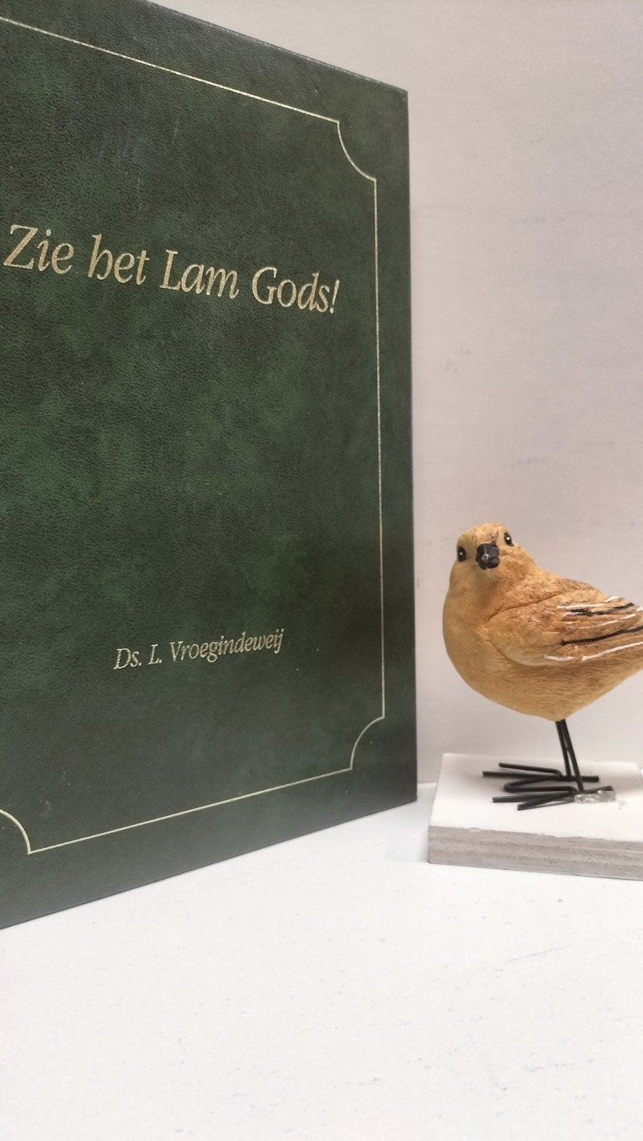 Vroegindeweij, Ds. L.; Zie het Lam Gods!, Boeken, Ophalen of Verzenden, Gelezen, Christendom | Protestants