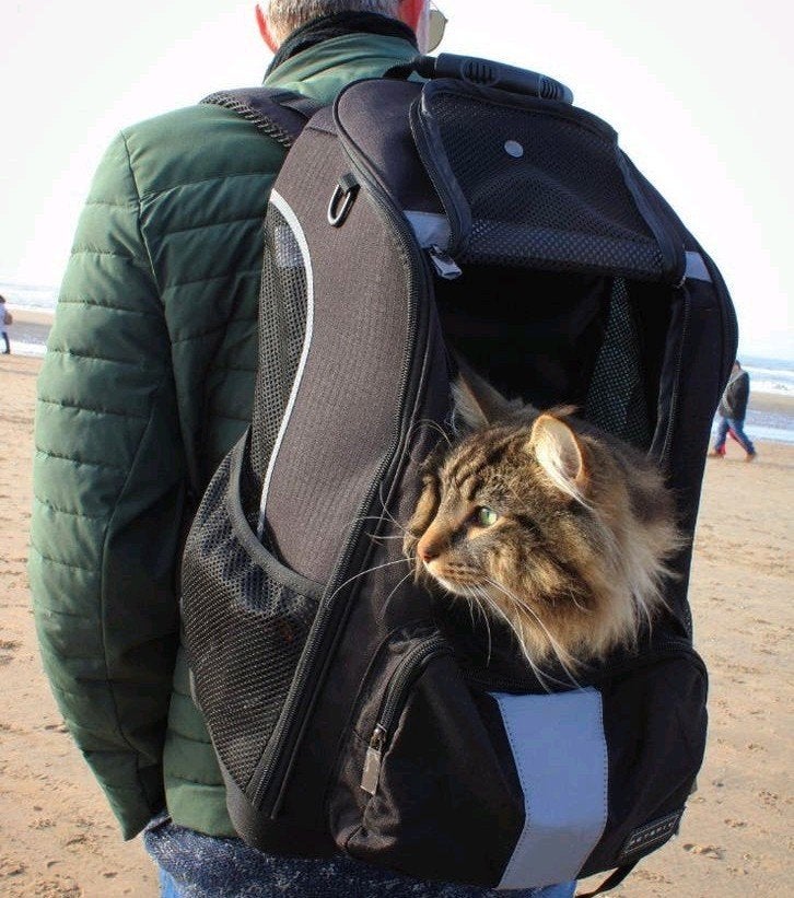 ZGAN: Stevige PETSFIT Huisdieren Rugzak / Kattenrugzak (Nieu, Ophalen, Zo goed als nieuw