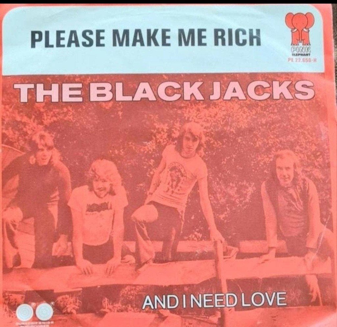 THE BLACK JACKS - PLEASE MAKE ME RICH., Cd's en Dvd's, Vinyl | Nederlandstalig, Ophalen of Verzenden, Gebruikt