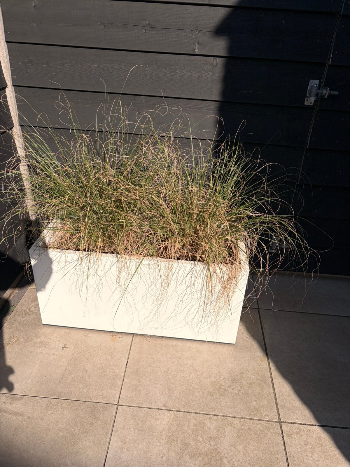 Witte plantenbakken Elho, Ophalen, Kunststof, Minder dan 30 cm, Rond