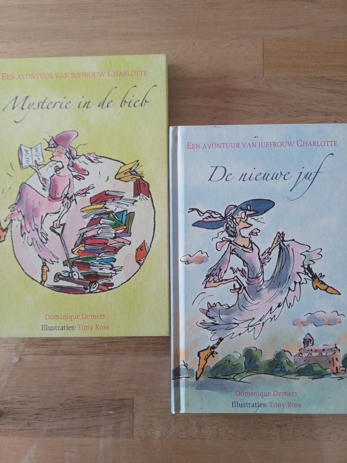 Dominique Demers -De nieuwe juf en mysterie in de bieb.samen, Fictie algemeen, Ophalen of Verzenden, Zo goed als nieuw, Dominique Demers