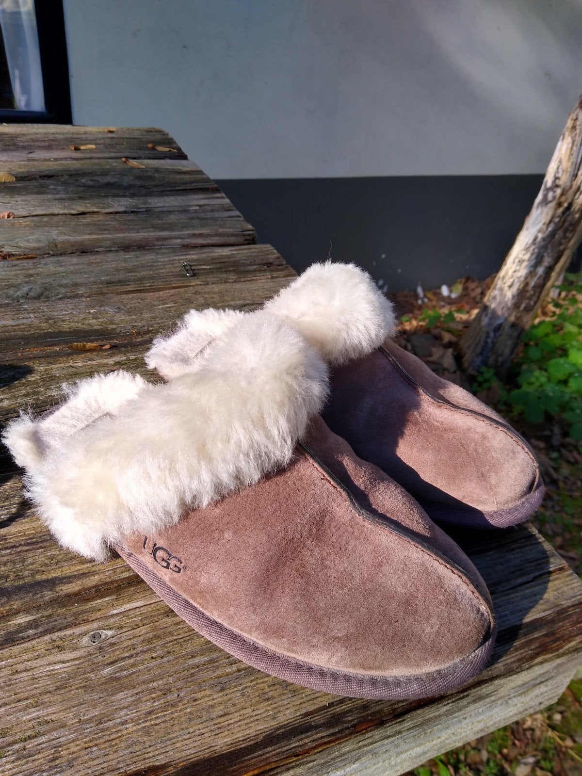 Comfortabele UGG Pantoffels maat 37, Kleding | Dames, UGG, Beige, Ophalen of Verzenden, Pantoffels of Sloffen