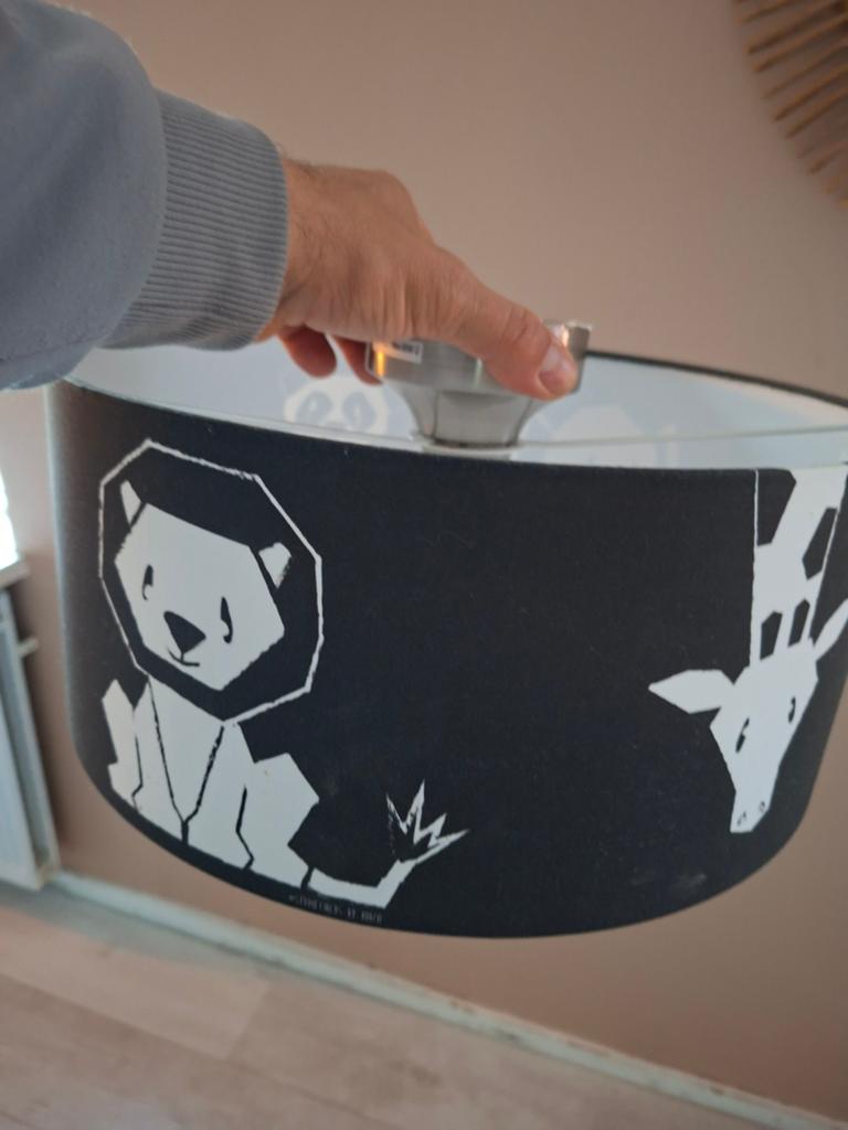 Leuke plafondlamp kinderkamer, Ophalen